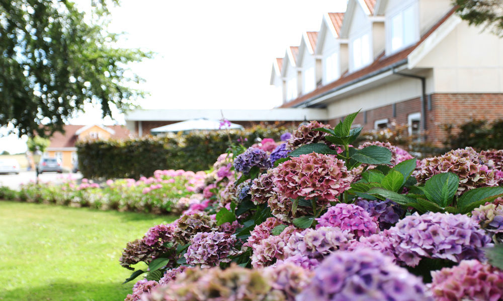 Fangel Kro & Hotel Bellinge Exteriör bild